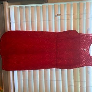 J. Crew coral, fitted, lace, knee length dress.